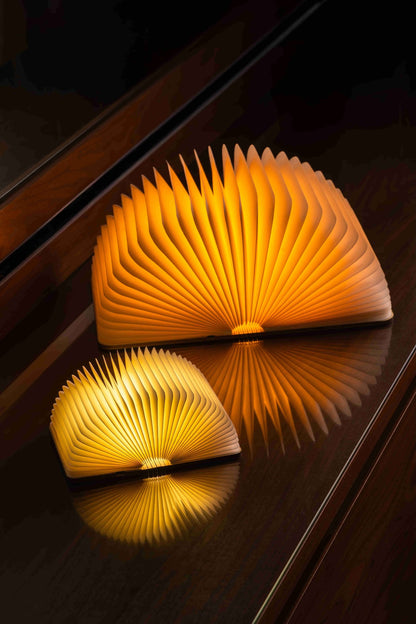 Two wooden book-shaped lamps on a reflective surface with a dark background